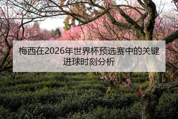 梅西在2026年世界杯预选赛中的关键进球时刻分析 | AYX Sports