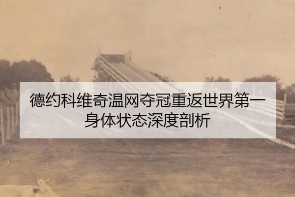 德约科维奇温网夺冠重返世界第一 身体状态深度剖析