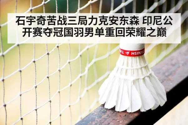 badminton net close up