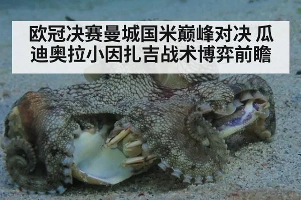 欧冠决赛曼城国米巅峰对决 瓜迪奥拉小因扎吉战术博弈前瞻